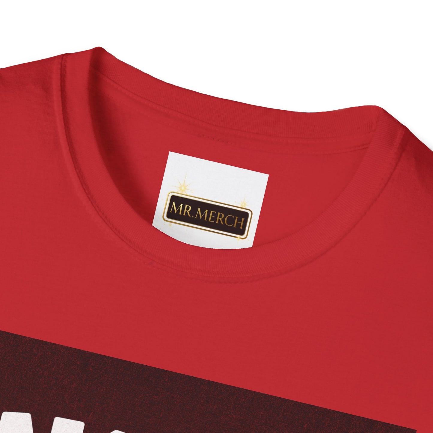 NO DIDDY TXT (T-SHIRT)