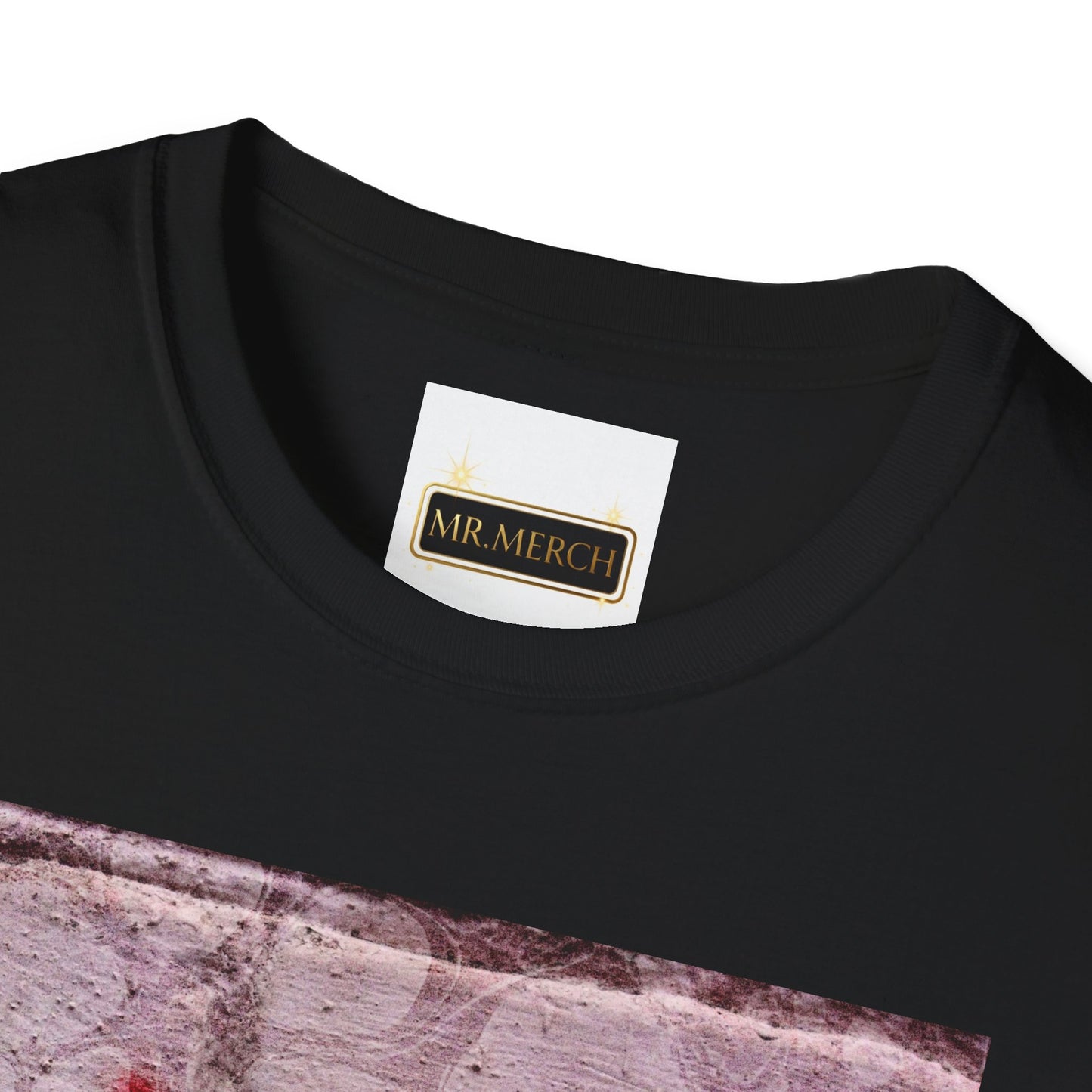 NO DIDDY (T-SHIRT)