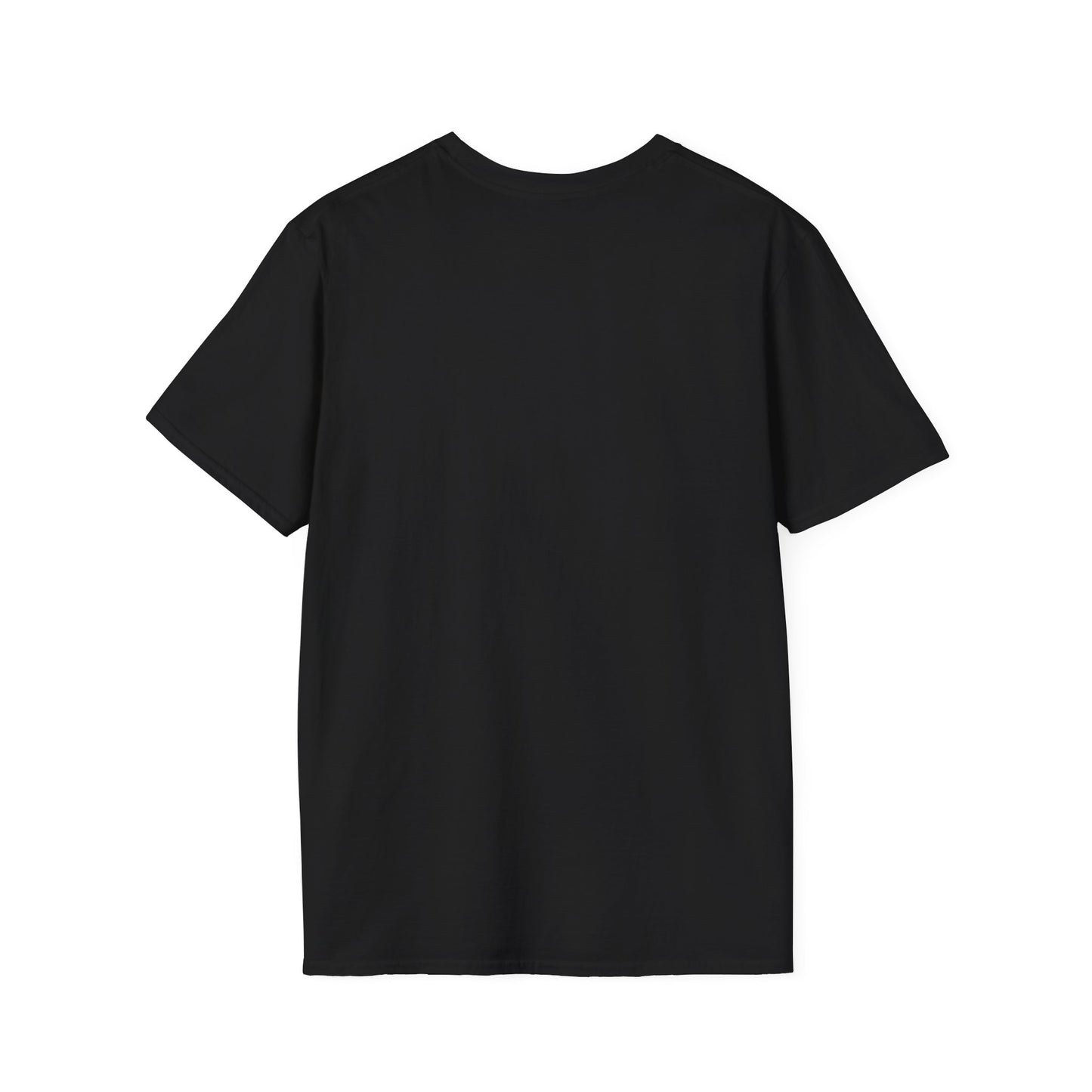NO DIDDY TXT (T-SHIRT)