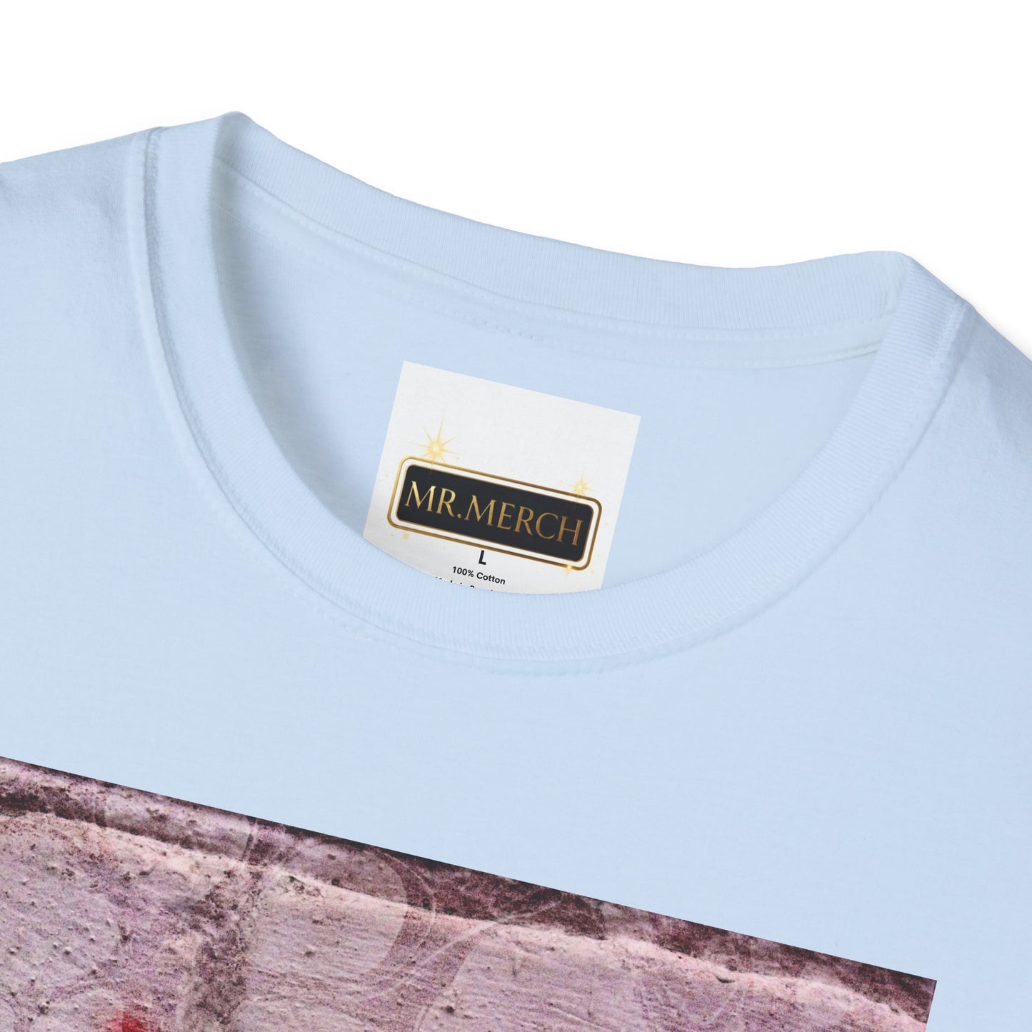 NO DIDDY (T-SHIRT)