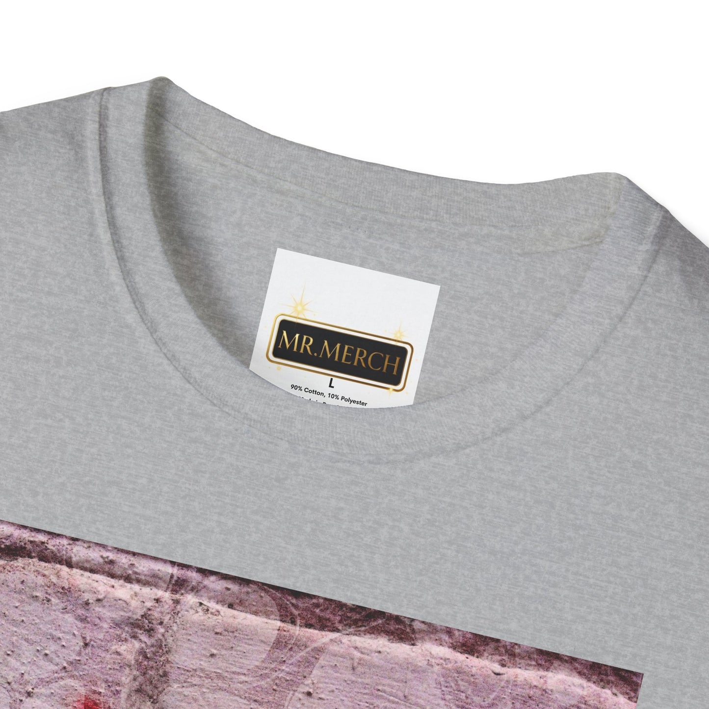 NO DIDDY (T-SHIRT)