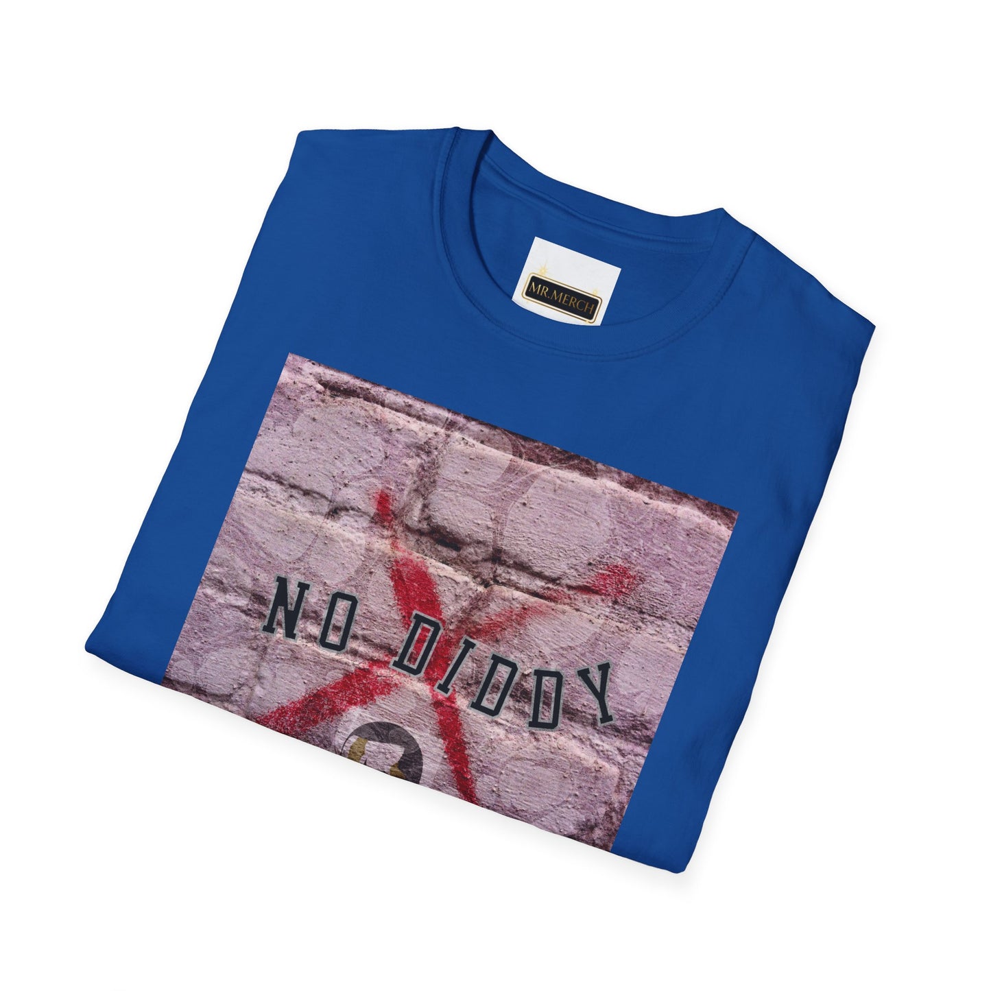 NO DIDDY (T-SHIRT)