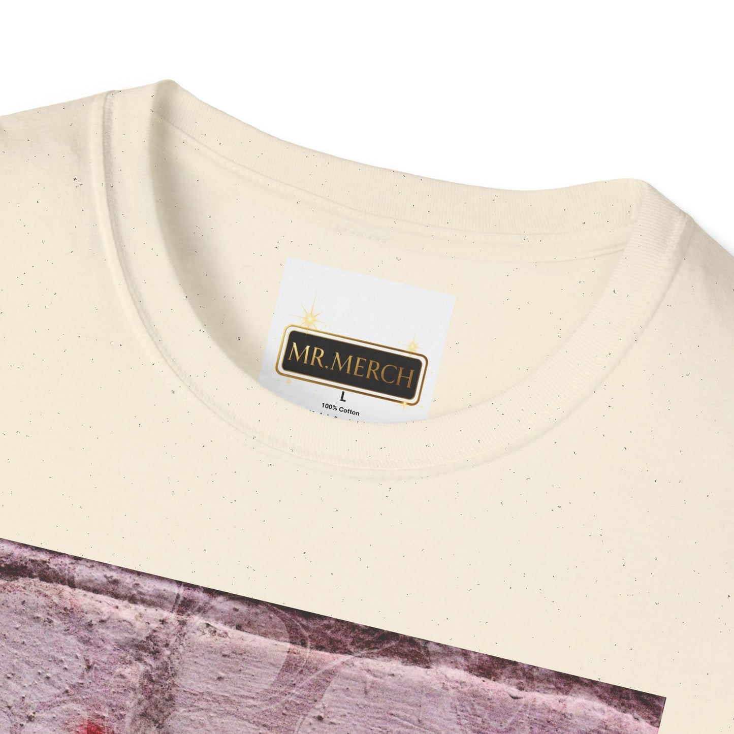 NO DIDDY (T-SHIRT)