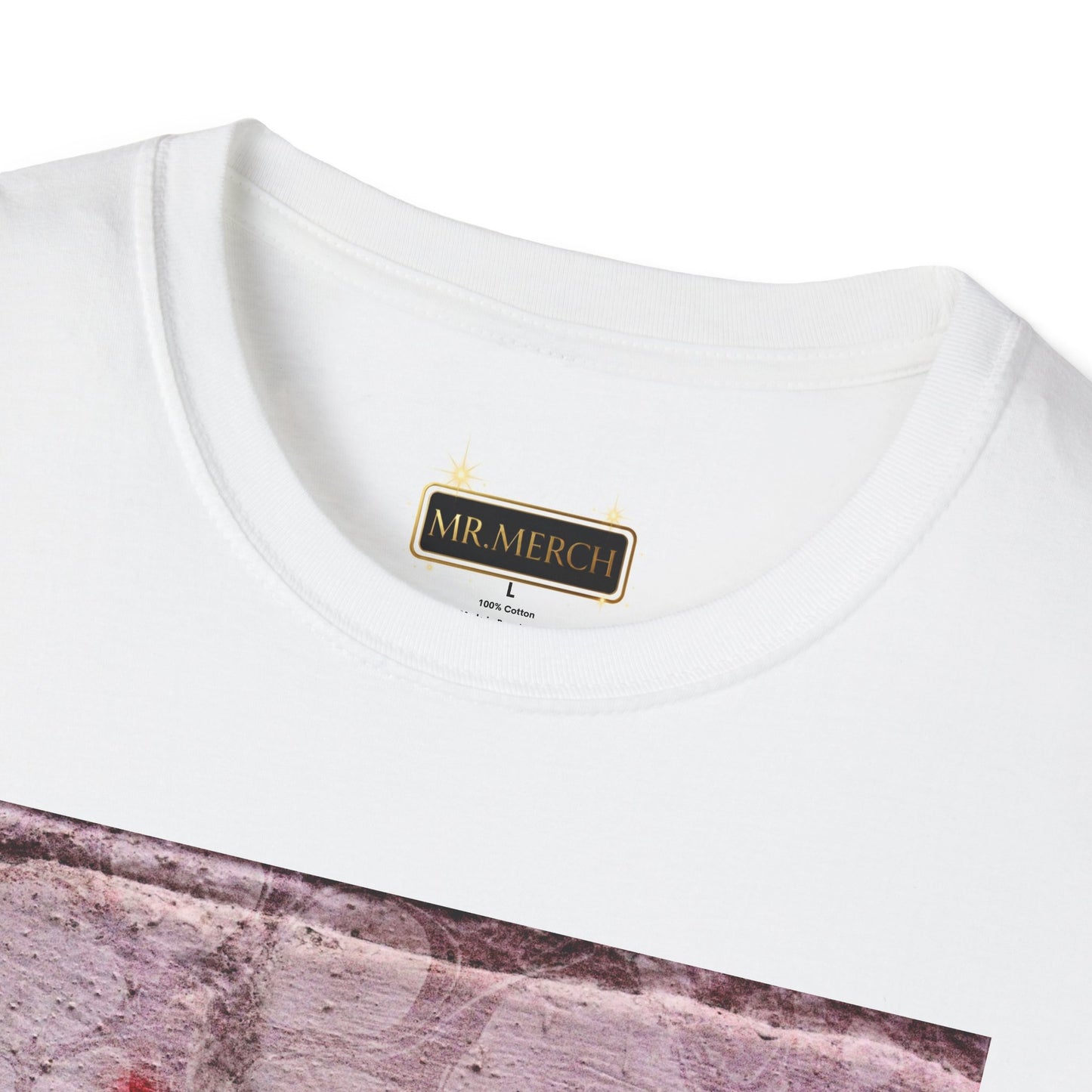 NO DIDDY (T-SHIRT)
