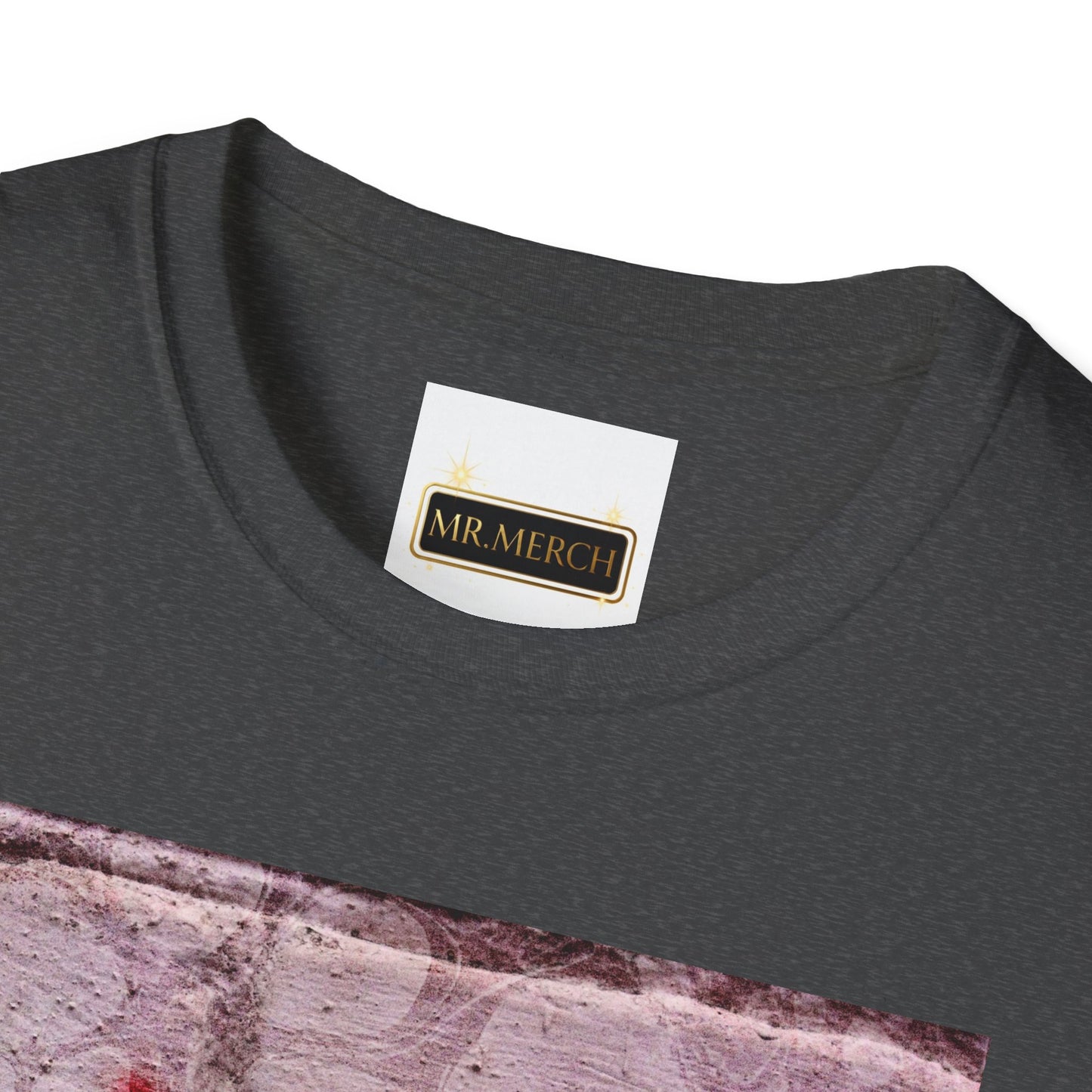 NO DIDDY (T-SHIRT)