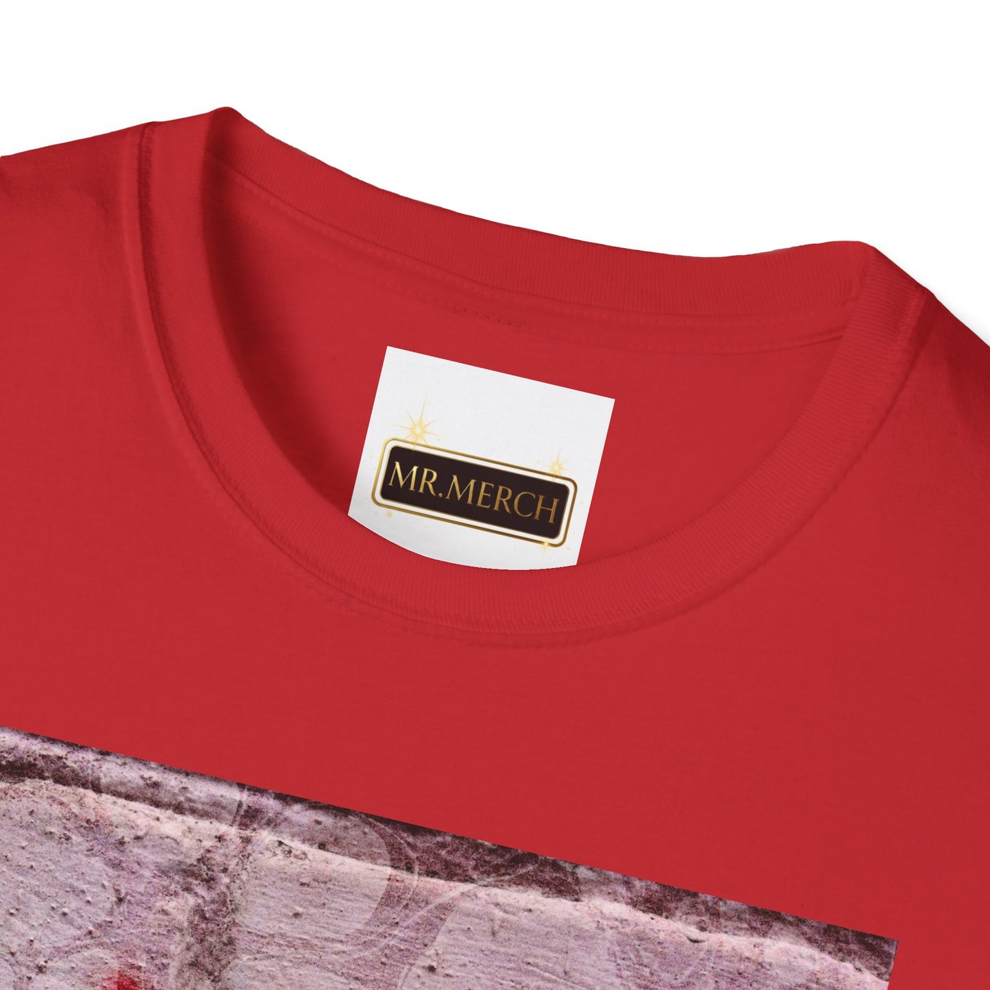 NO DIDDY (T-SHIRT)