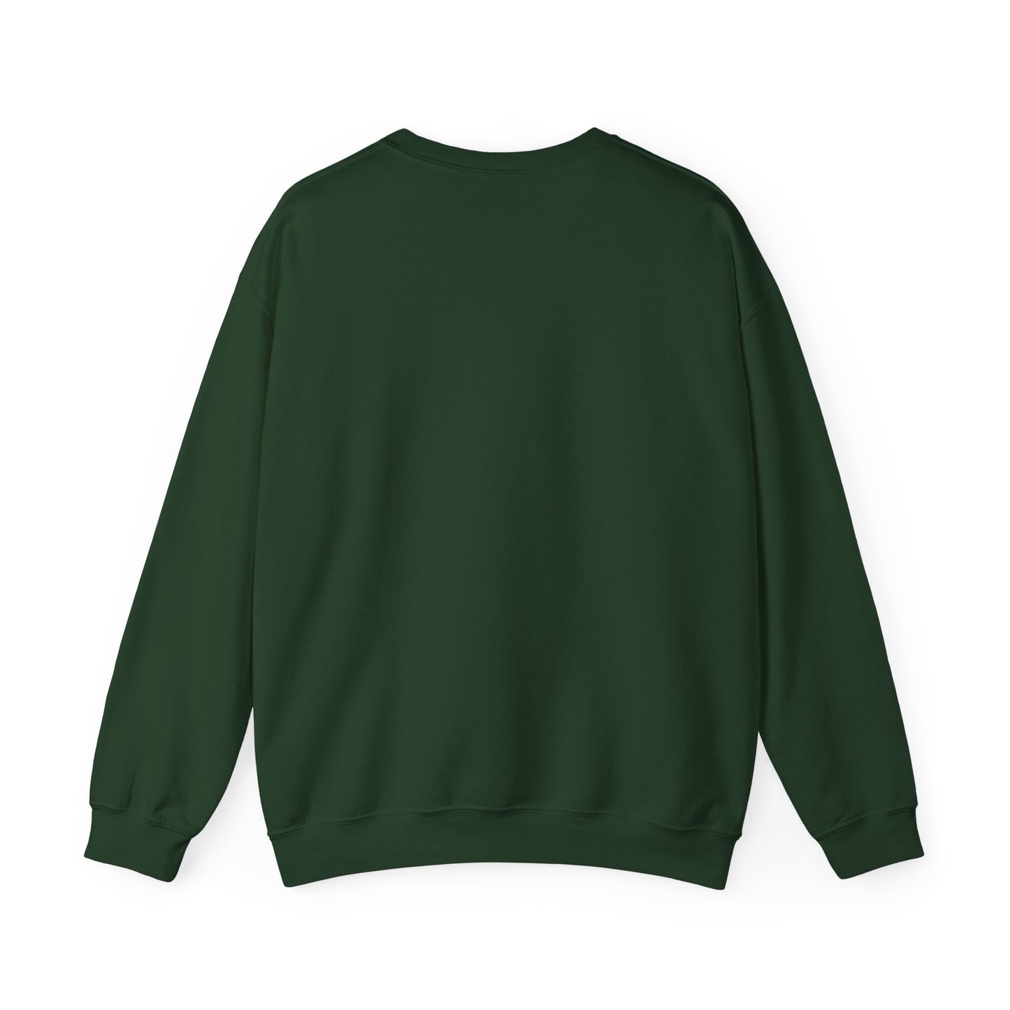 NO DIDDY - Sweatshirt