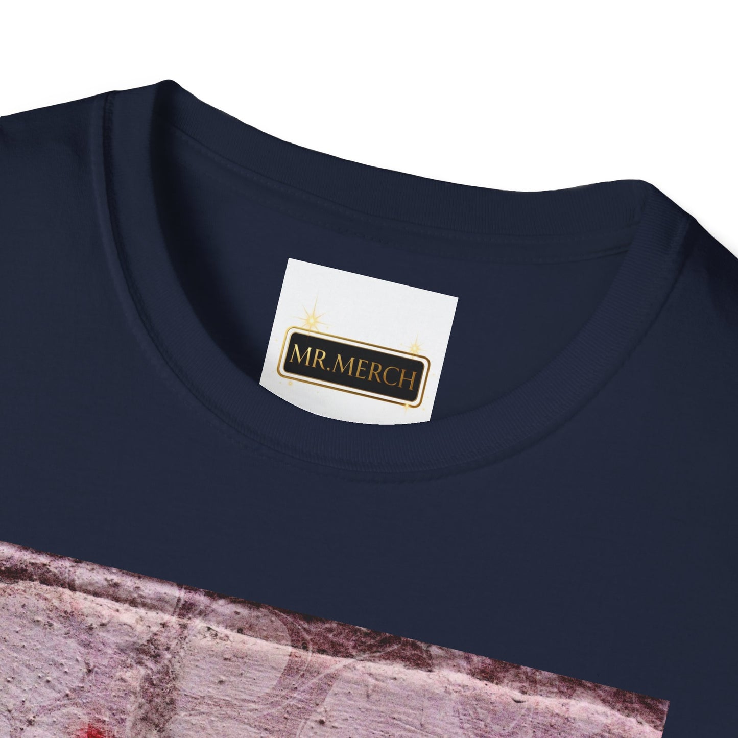 NO DIDDY (T-SHIRT)