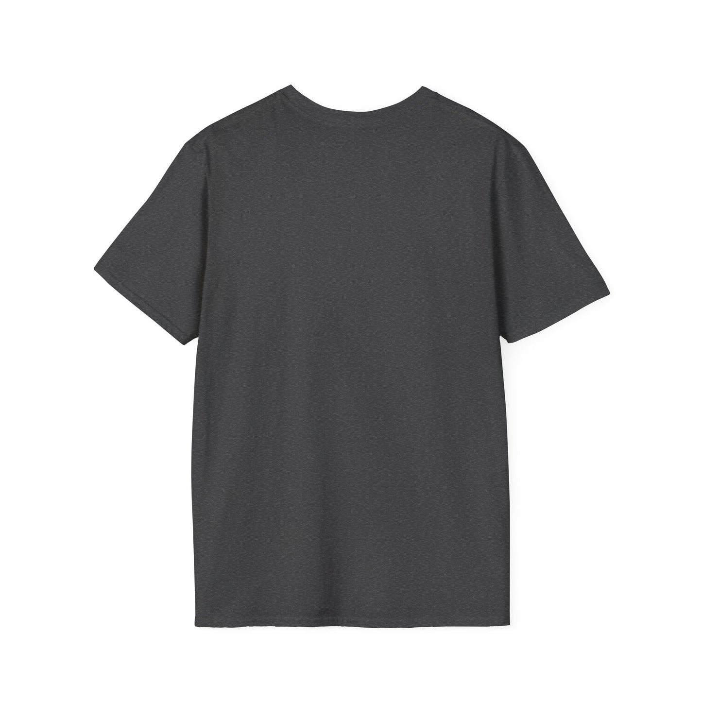 NO DIDDY (T-SHIRT)