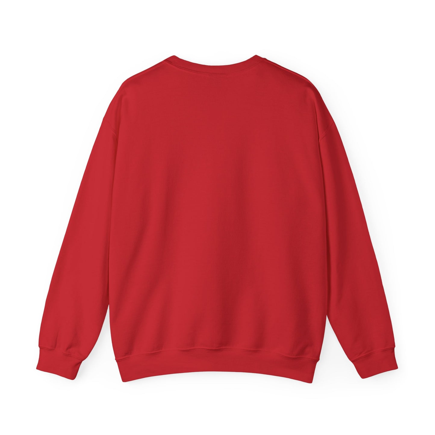 NOOO DIDDY - Sweatshirt
