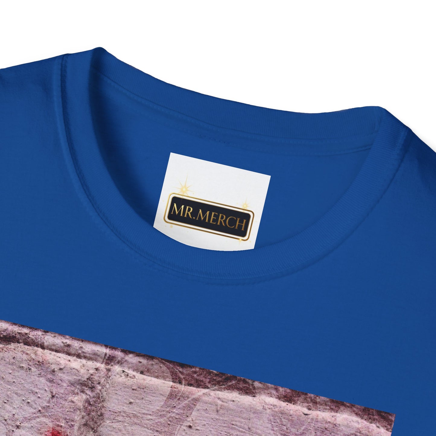 NO DIDDY (T-SHIRT)